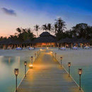 Solar Lights, Waterproof Flickering Flames Torches Lights Outdoor Solar Light Landscape Decoration Lighting (2 packs)