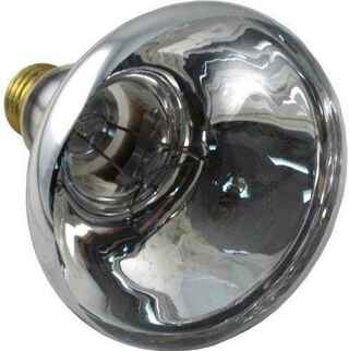 Pentair 79101800 Replacement Bulb American 100W 12V