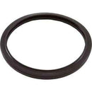 Zodiac Light Gasket, Zodiac, RGBW LED Pool Light, silicone